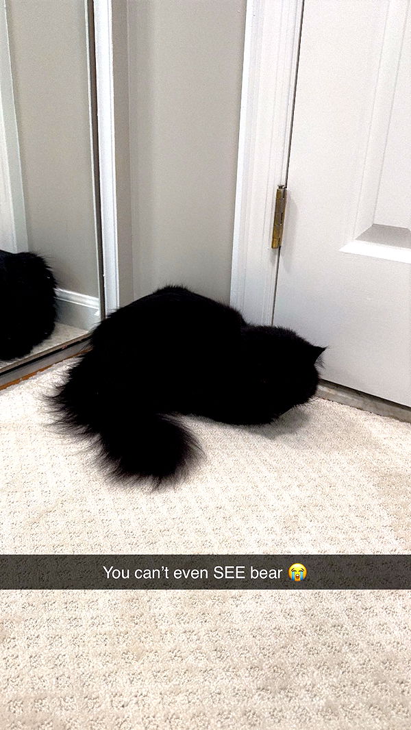 xxxtinacarmella image ~ Altpins