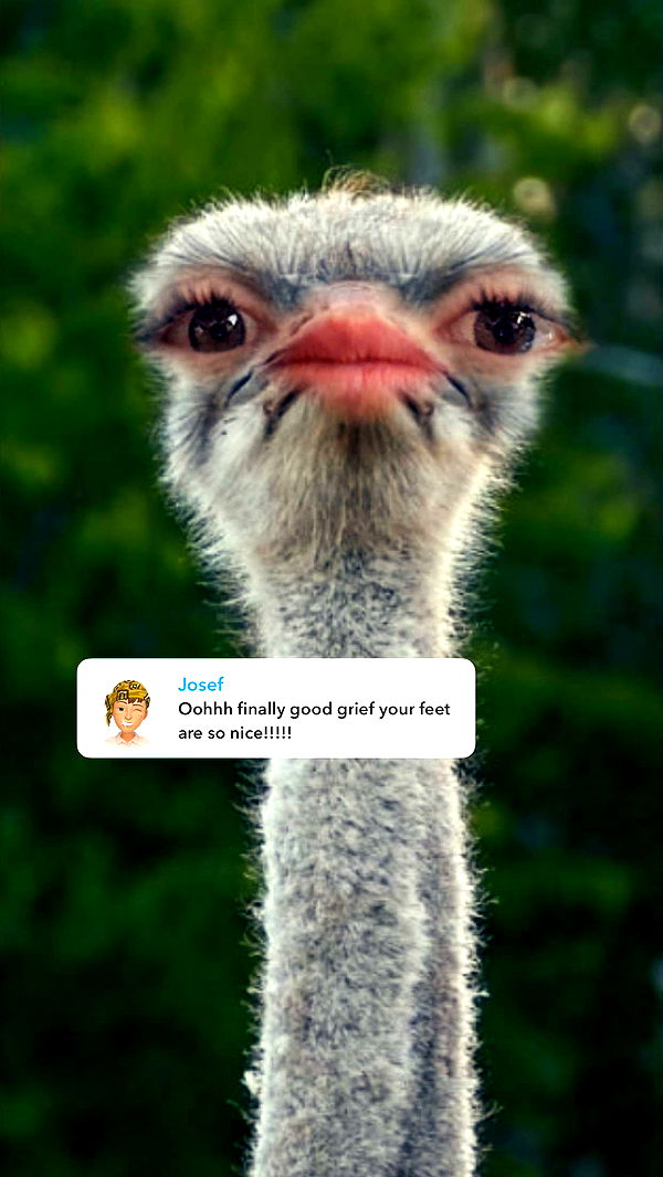 xxxtinacarmella image ~ Altpins