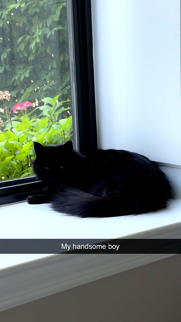 xxxtinacarmella image ~ Altpins