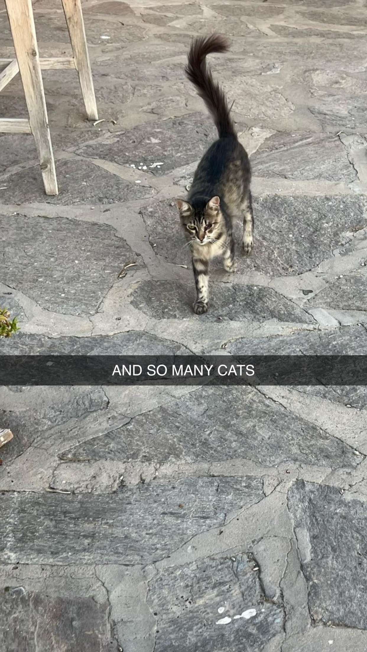 xxxtinacarmella snapchat image archive image