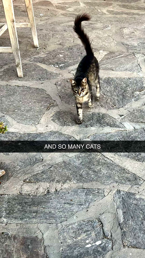 xxxtinacarmella image ~ Altpins