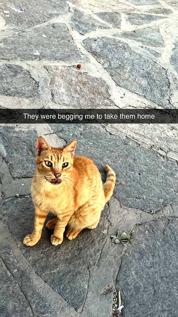 xxxtinacarmella image ~ Altpins