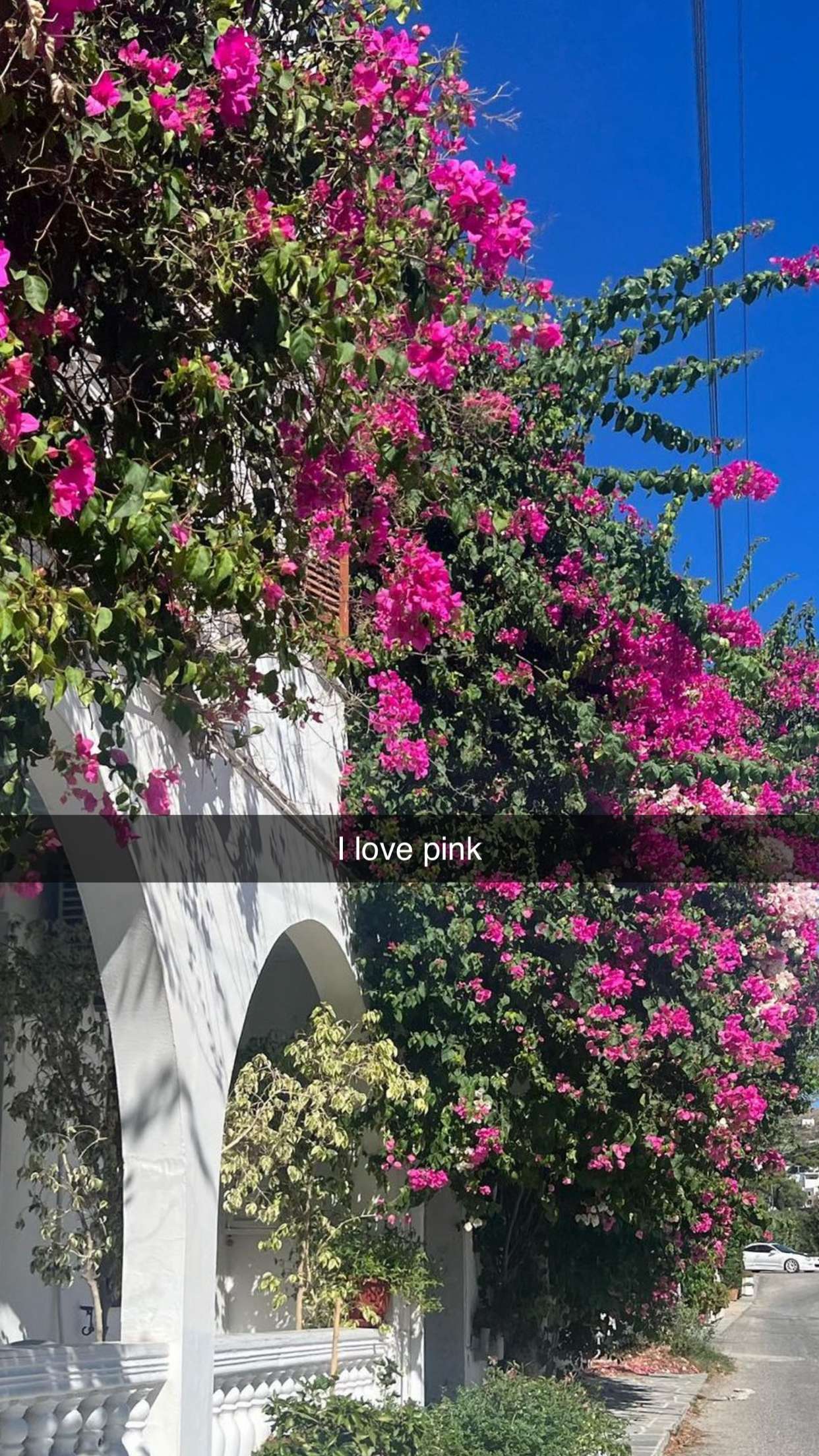 xxxtinacarmella snapchat image archive image