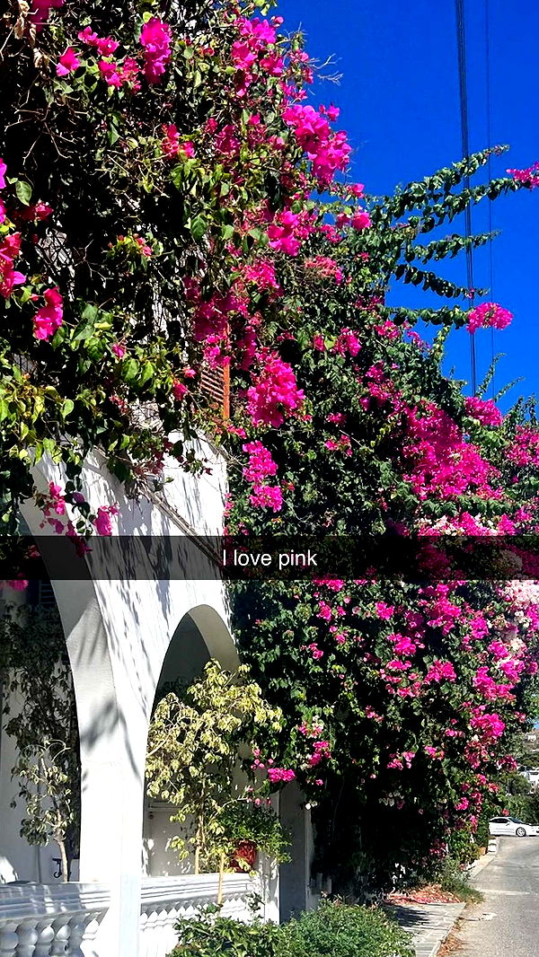 xxxtinacarmella image ~ Altpins