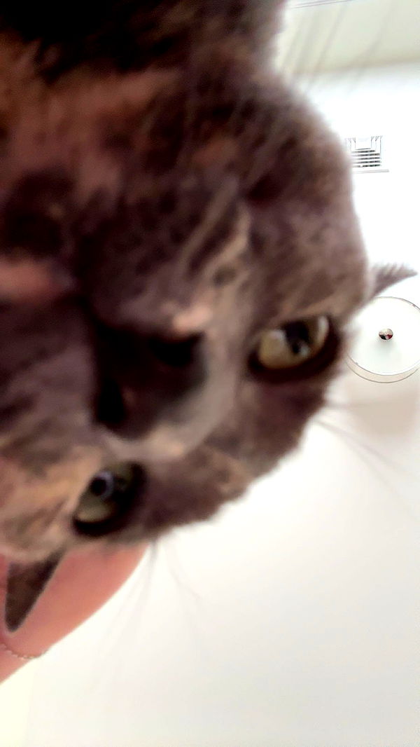 xxxtinacarmella image ~ Altpins