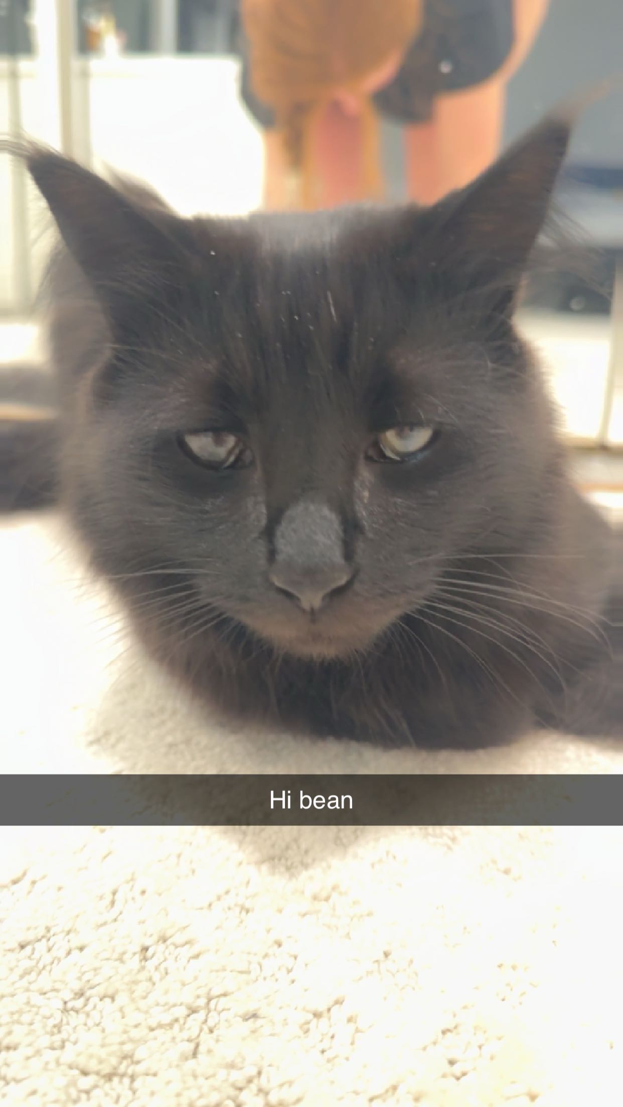 xxxtinacarmella snapchat image archive image