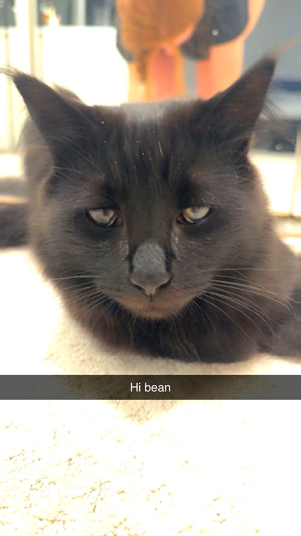 xxxtinacarmella image ~ Altpins