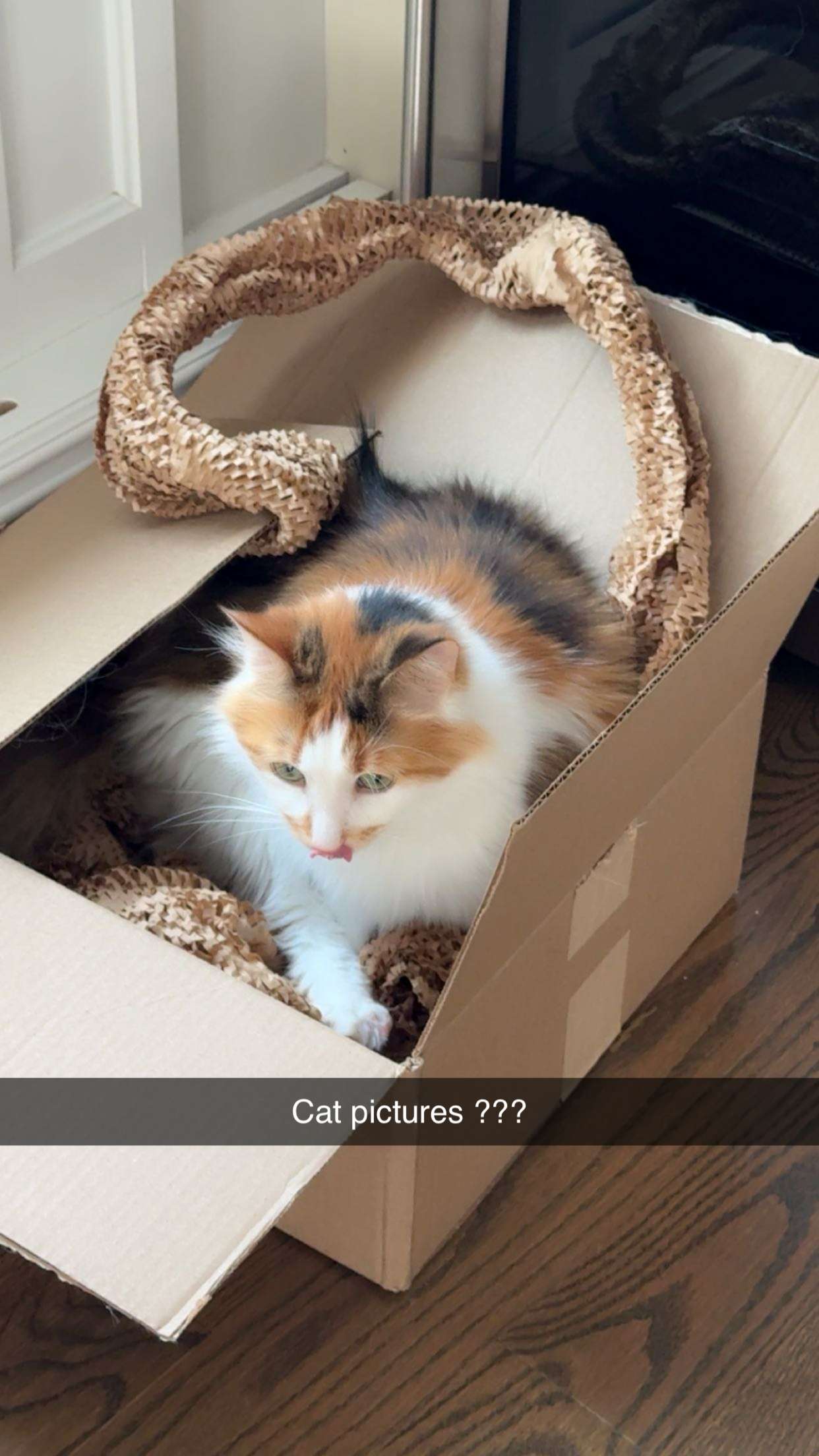 xxxtinacarmella snapchat image archive image