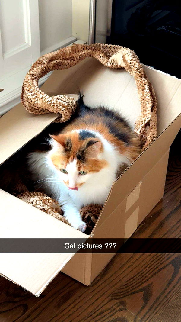 xxxtinacarmella image ~ Altpins