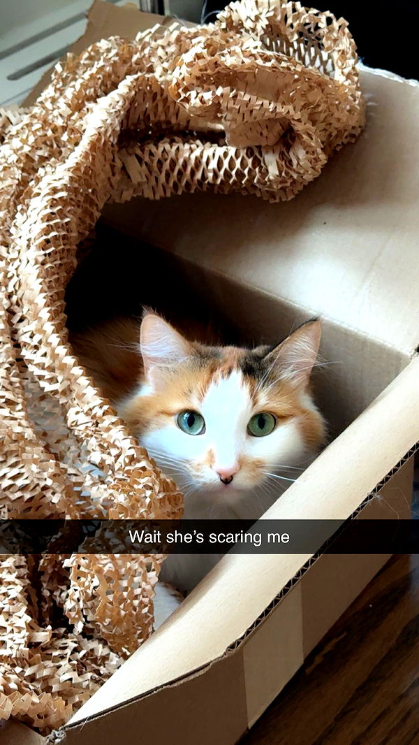 xxxtinacarmella image ~ Altpins