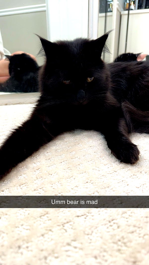 xxxtinacarmella image ~ Altpins