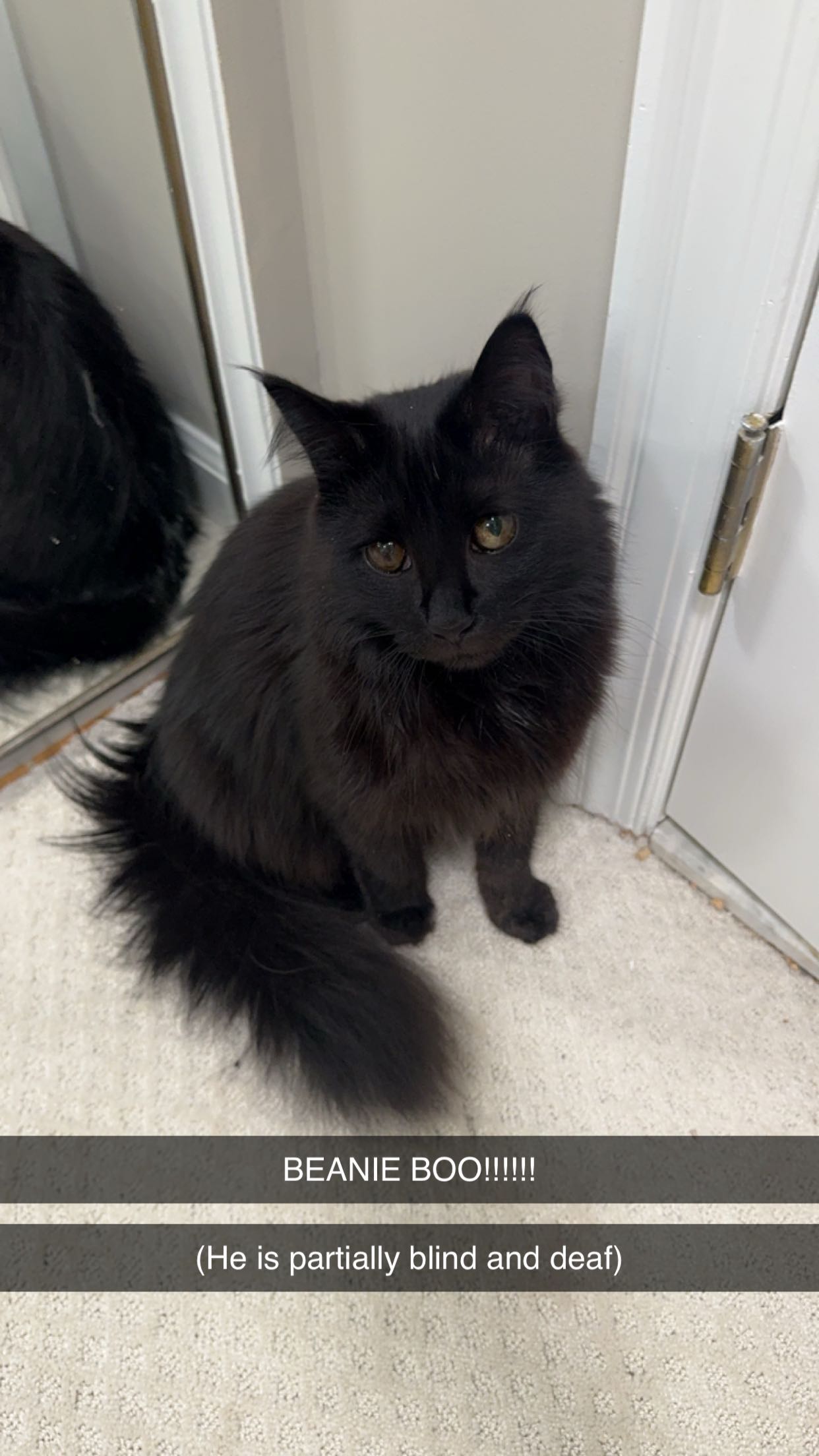 xxxtinacarmella snapchat image archive image