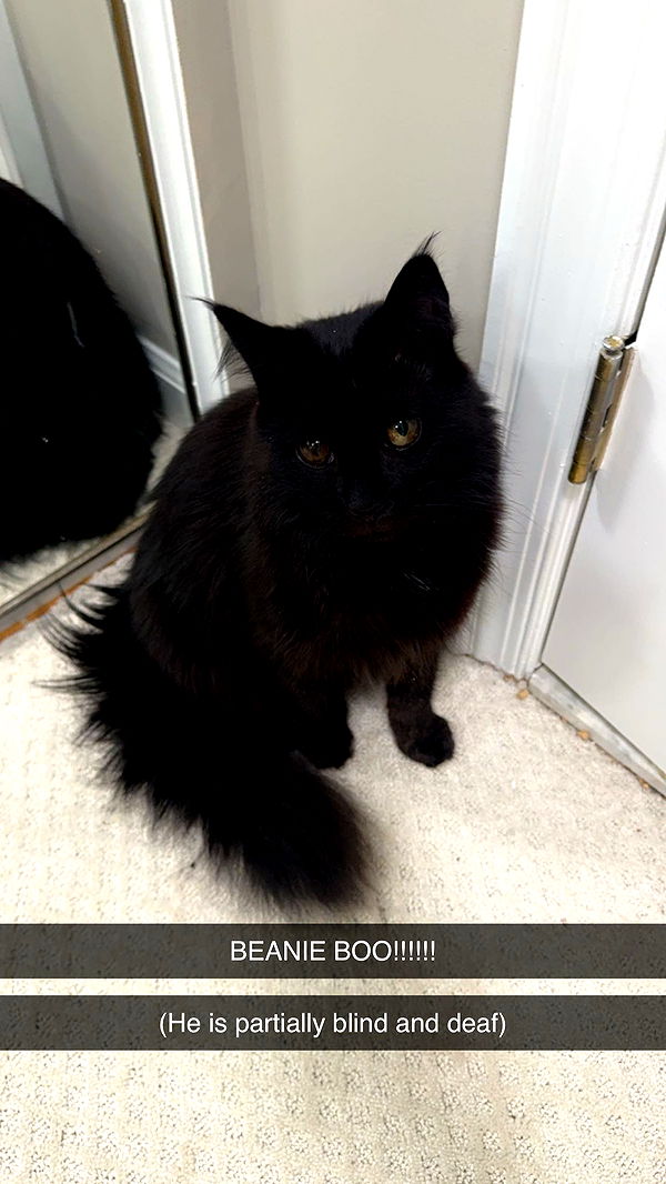 xxxtinacarmella image ~ Altpins