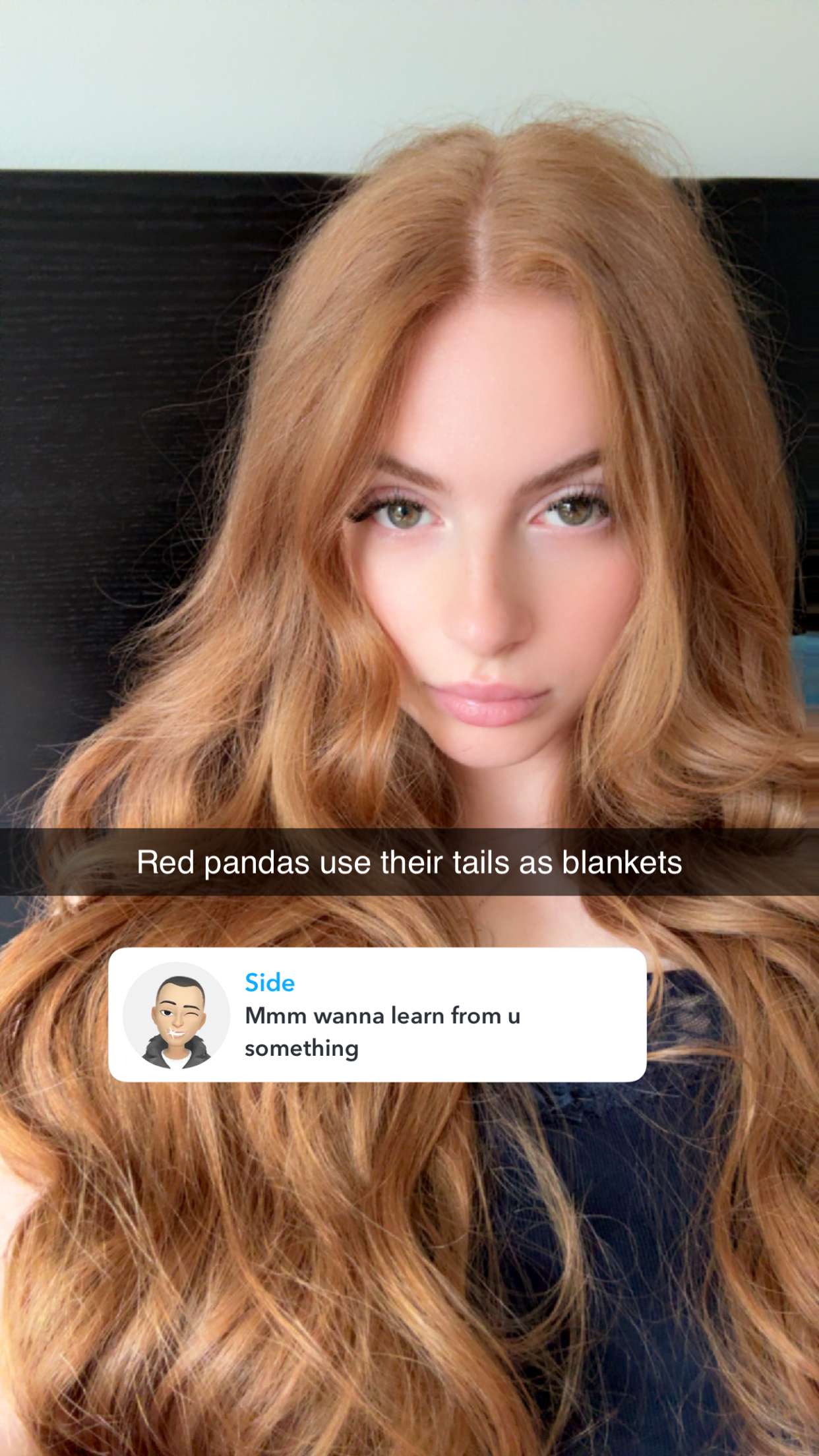 xxxtinacarmella snapchat image archive image