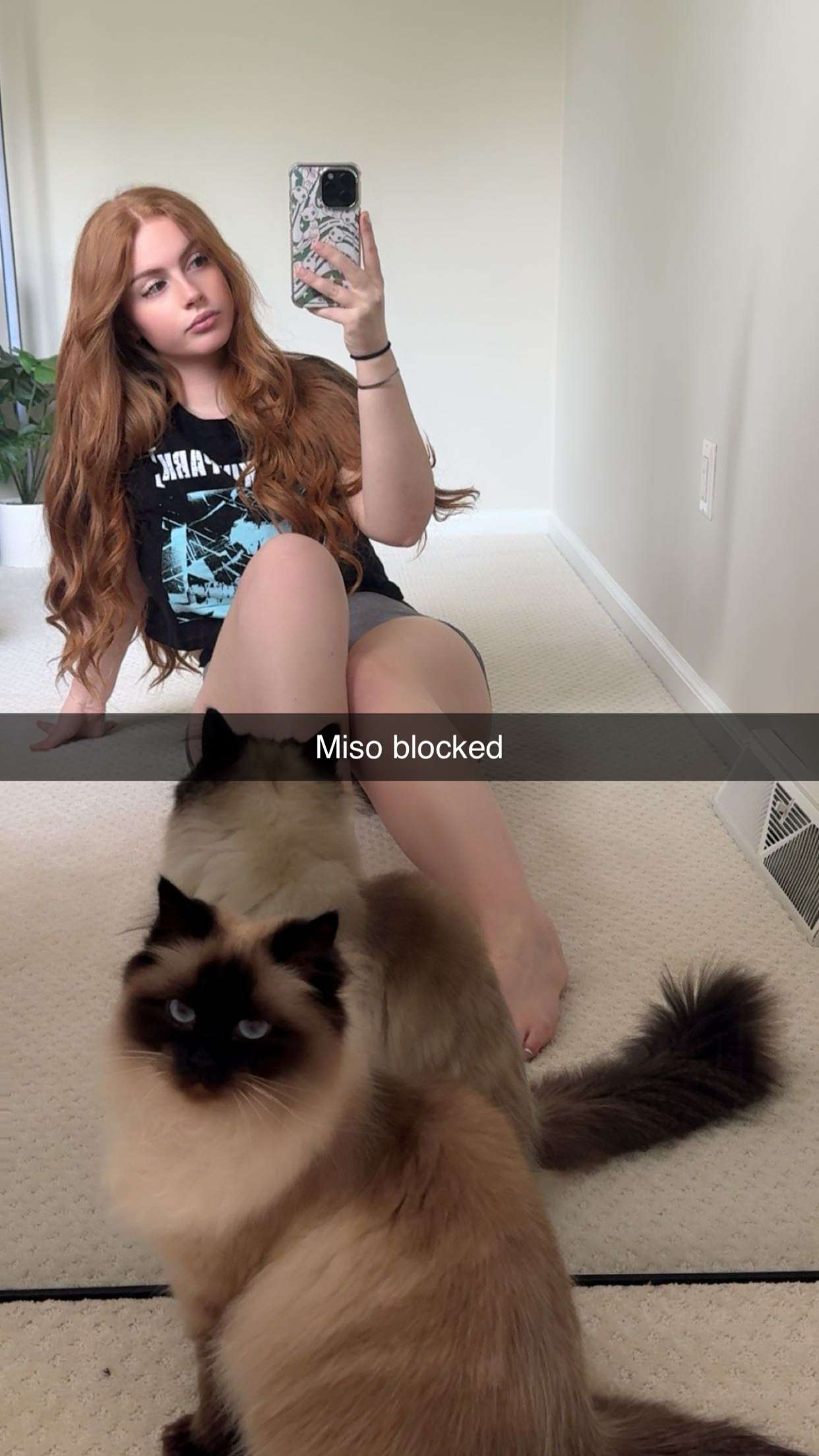 xxxtinacarmella snapchat image archive image