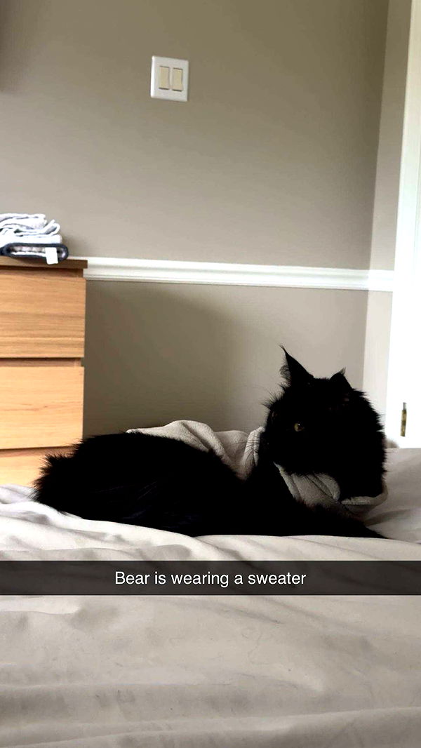 xxxtinacarmella image ~ Altpins