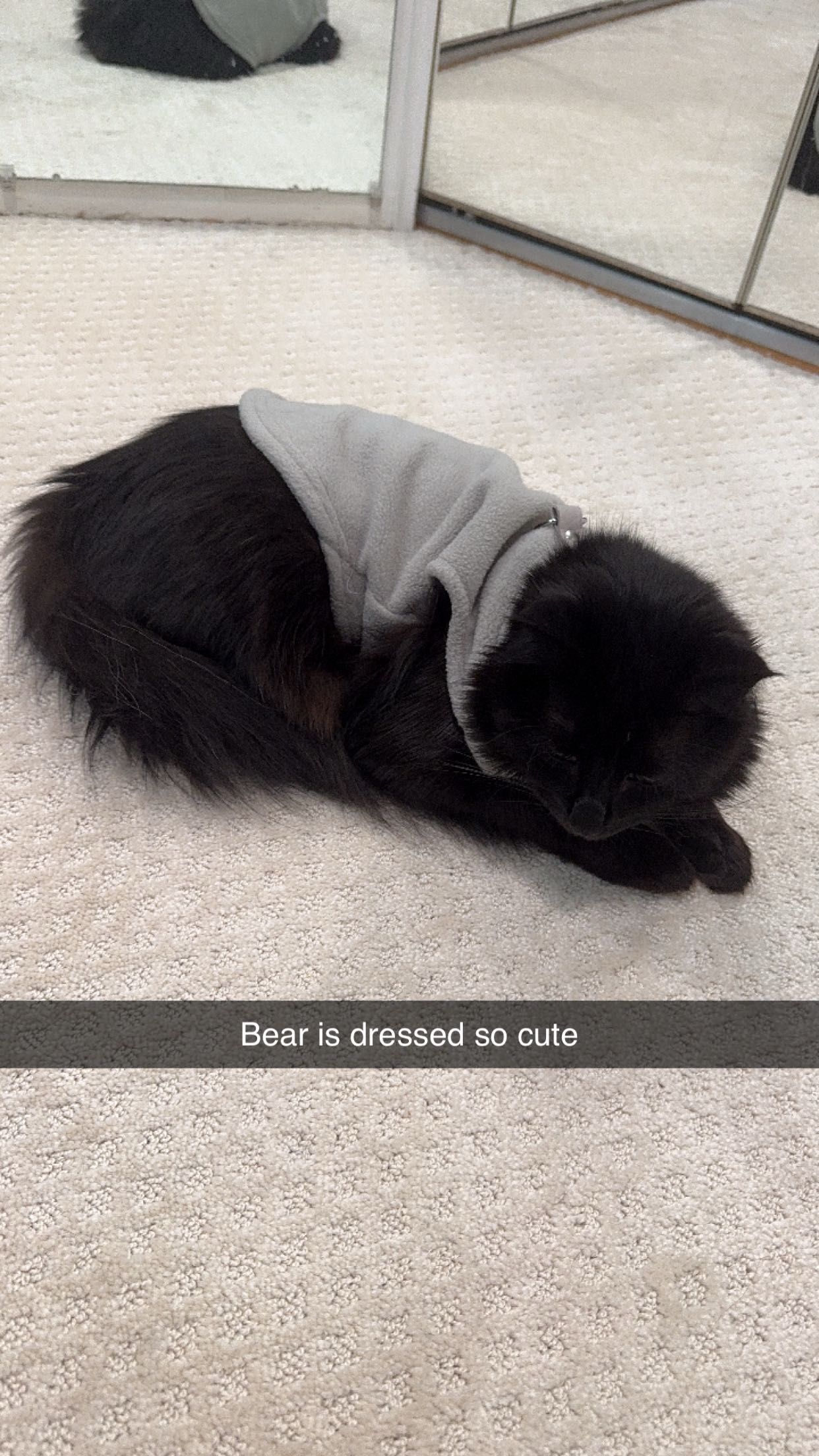 xxxtinacarmella snapchat image archive image