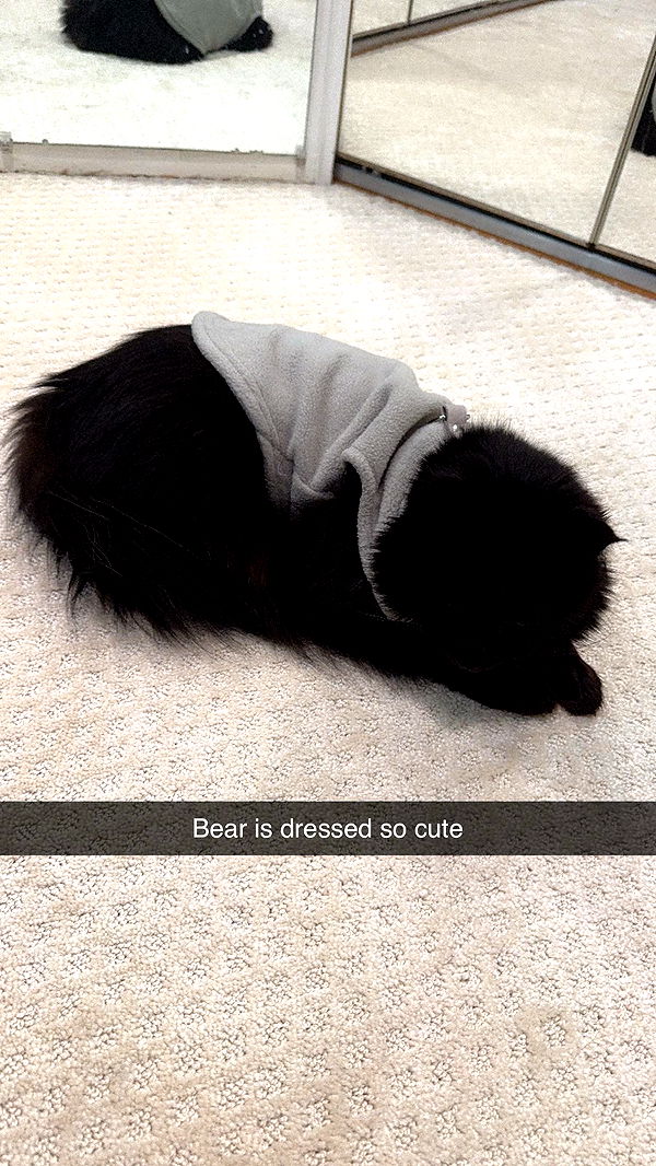 xxxtinacarmella image ~ Altpins