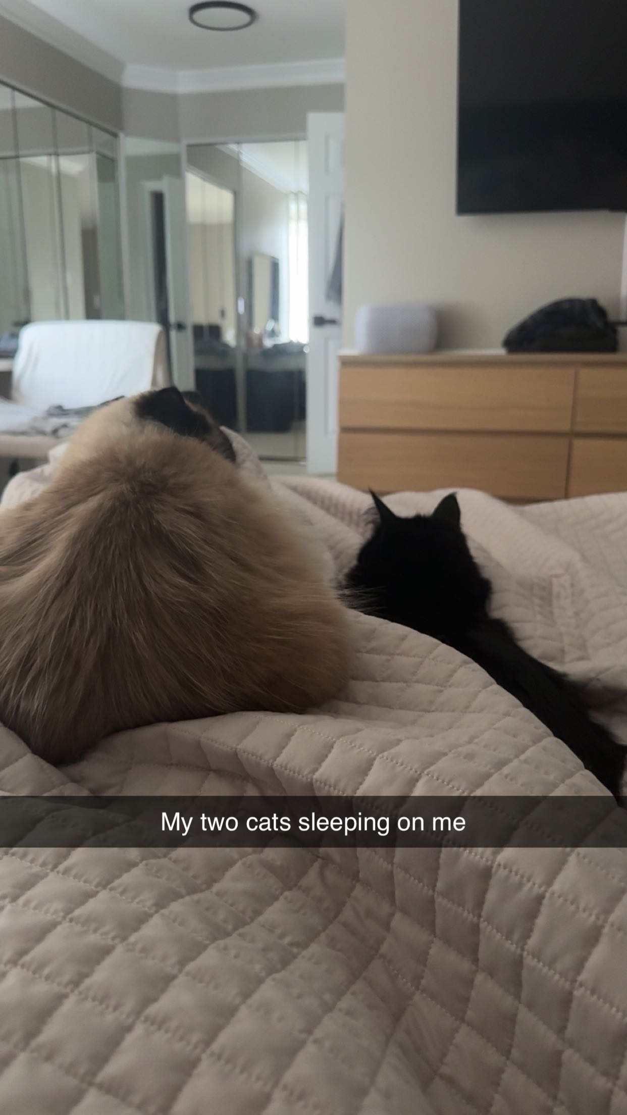 xxxtinacarmella snapchat image archive image