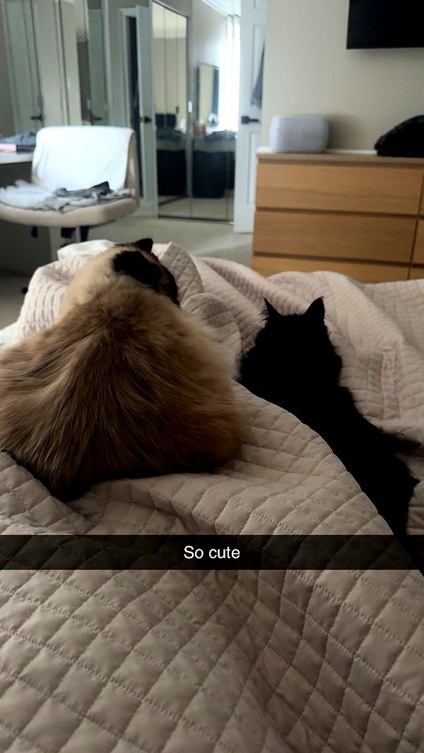 xxxtinacarmella image ~ Altpins