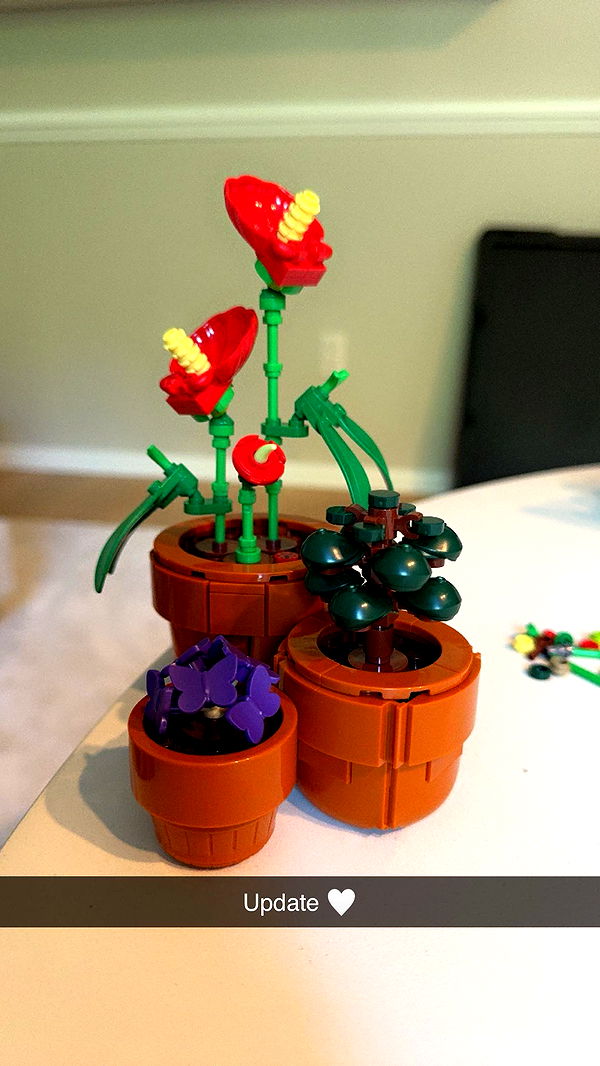 xxxtinacarmella image ~ Altpins