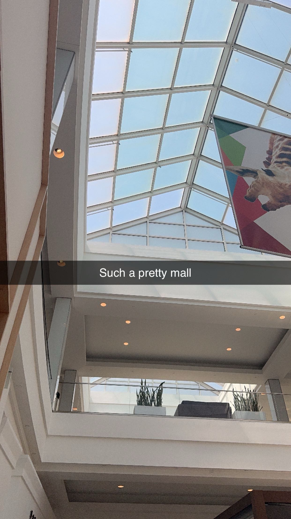 xxxtinacarmella snapchat image archive image