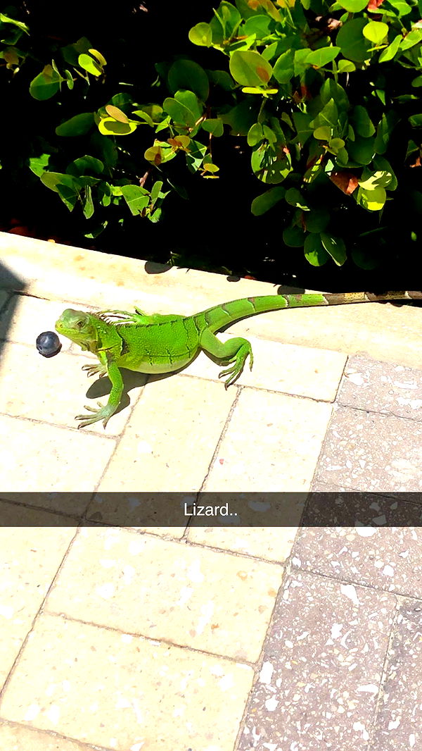 xxxtinacarmella image ~ Altpins