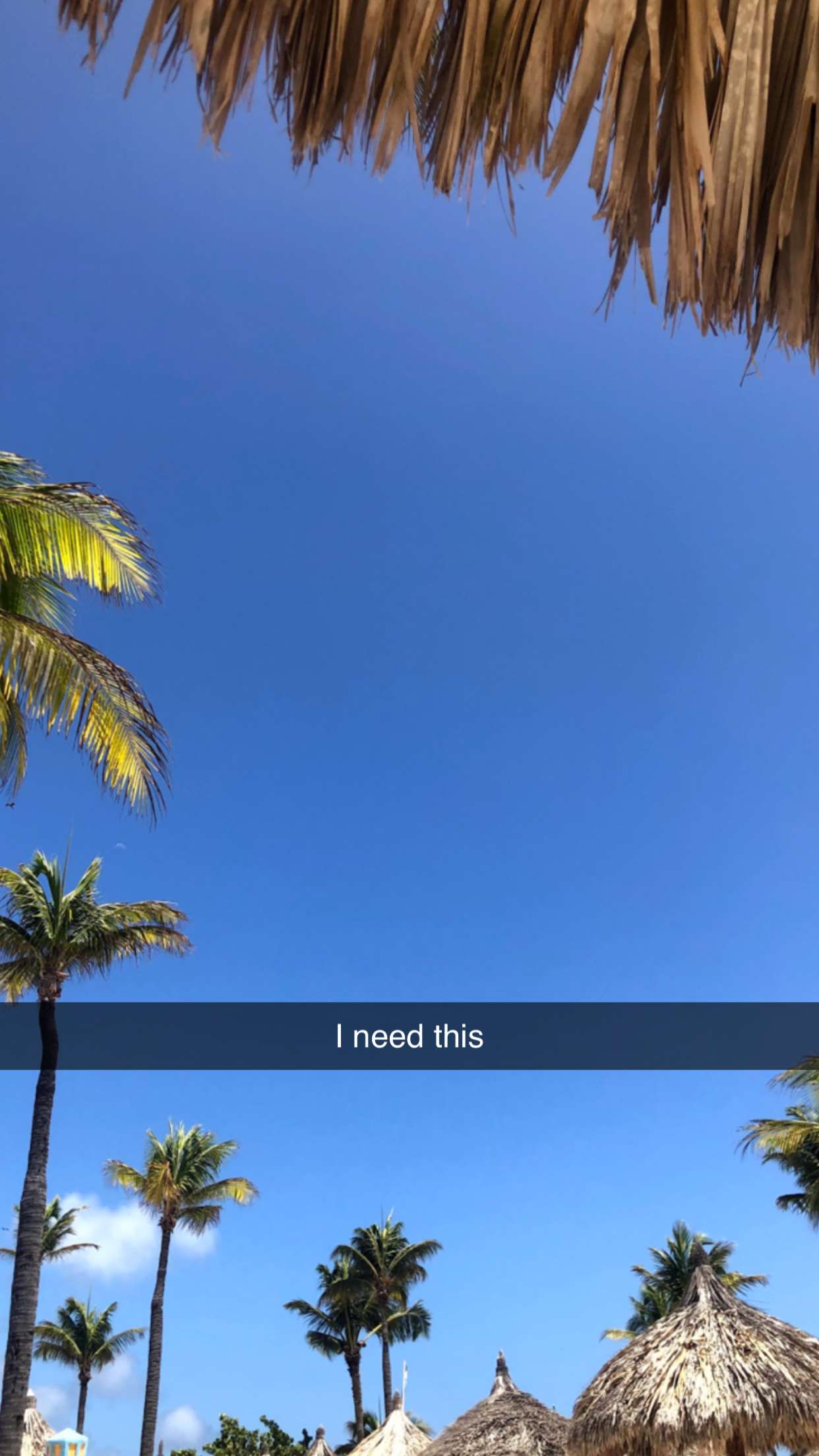 xxxtinacarmella snapchat image archive image