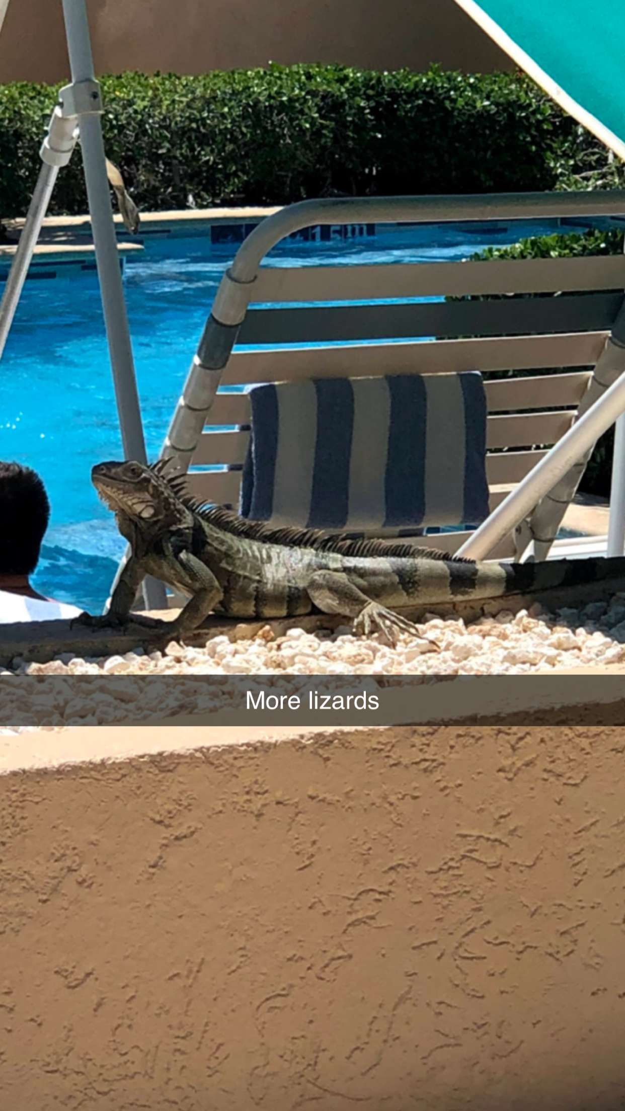 xxxtinacarmella snapchat image archive image