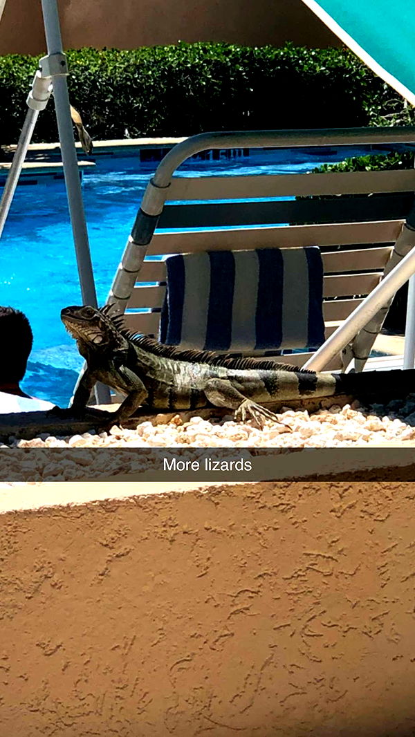 xxxtinacarmella image ~ Altpins