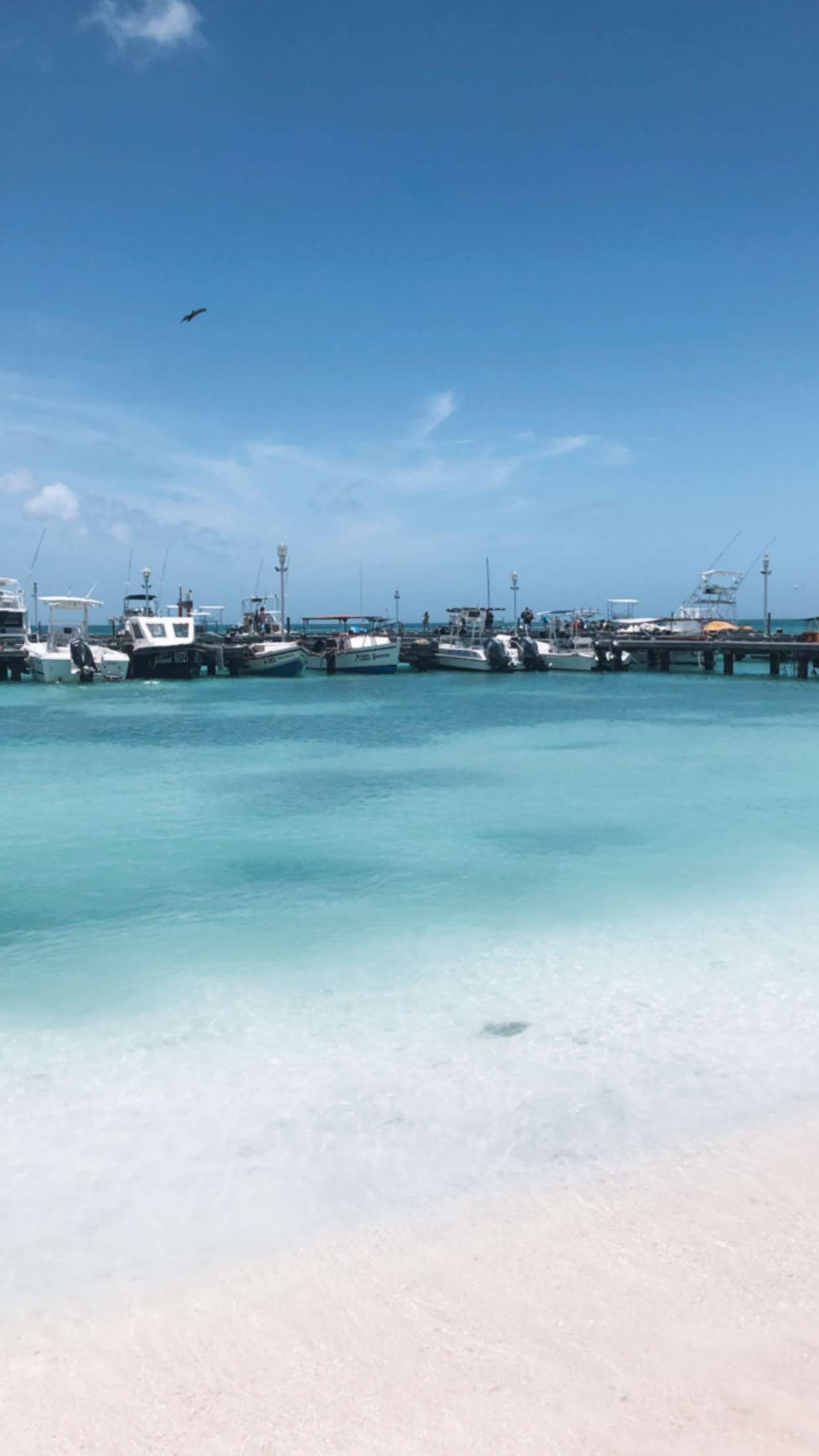 xxxtinacarmella snapchat image archive image