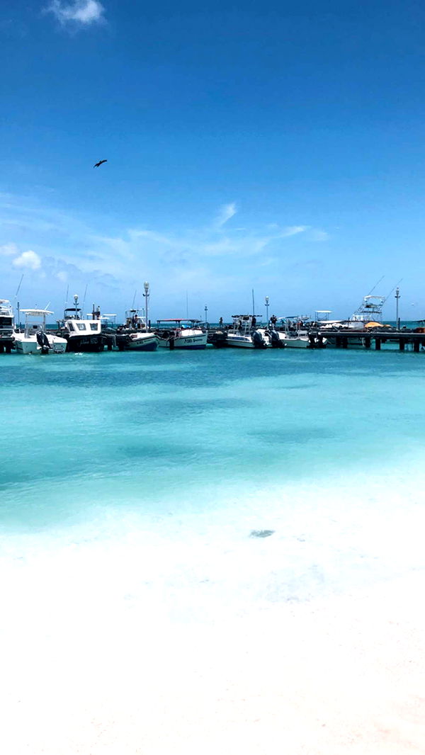 xxxtinacarmella image ~ Altpins