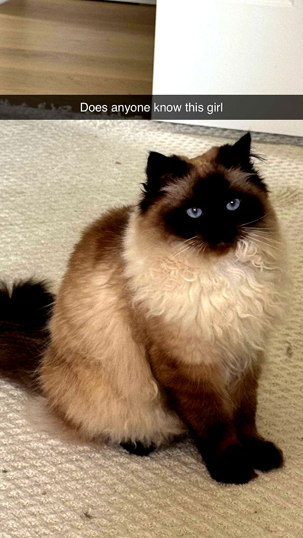 xxxtinacarmella image ~ Altpins