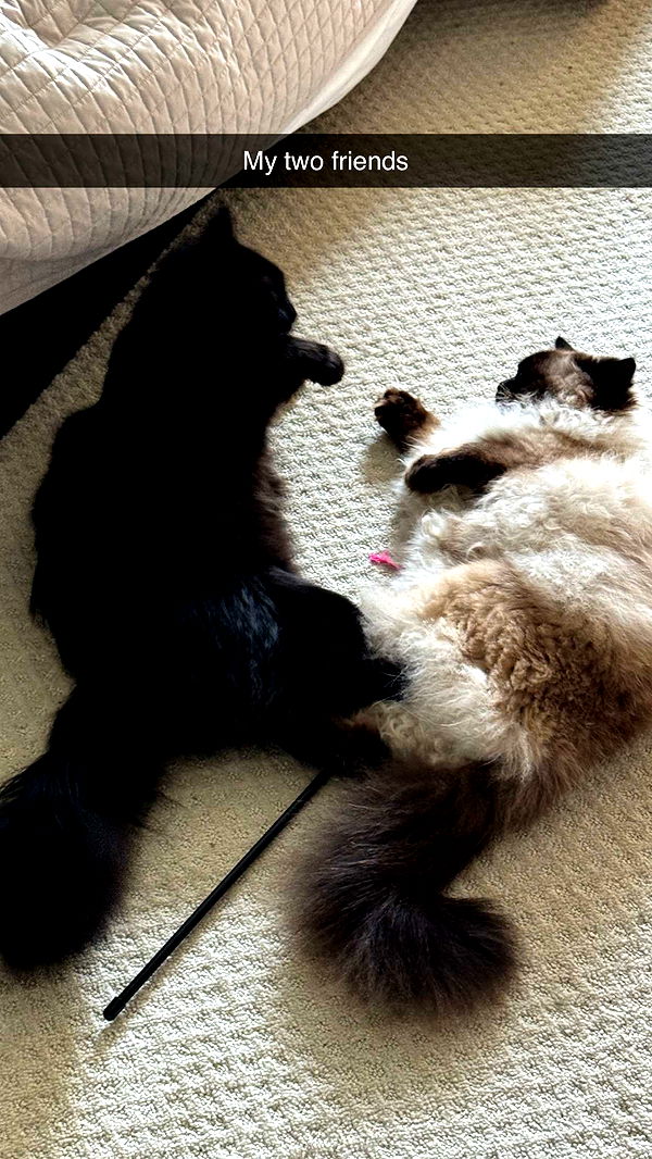 xxxtinacarmella image ~ Altpins