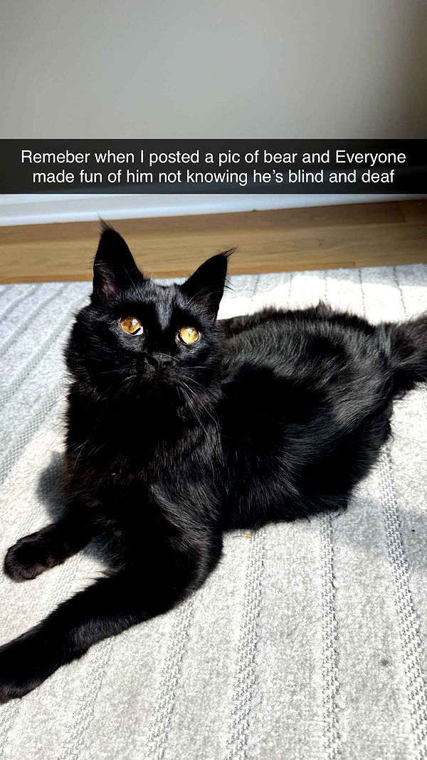 xxxtinacarmella image ~ Altpins