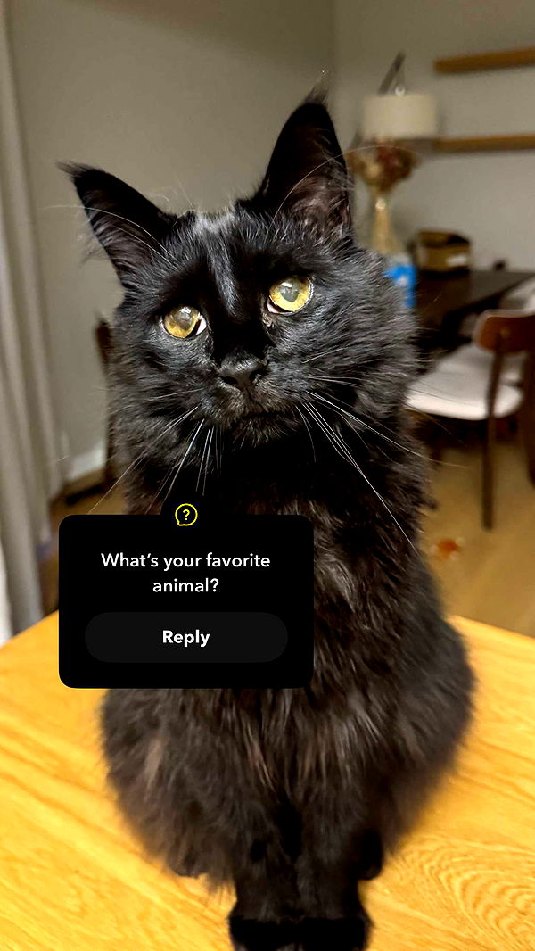 xxxtinacarmella image ~ Altpins