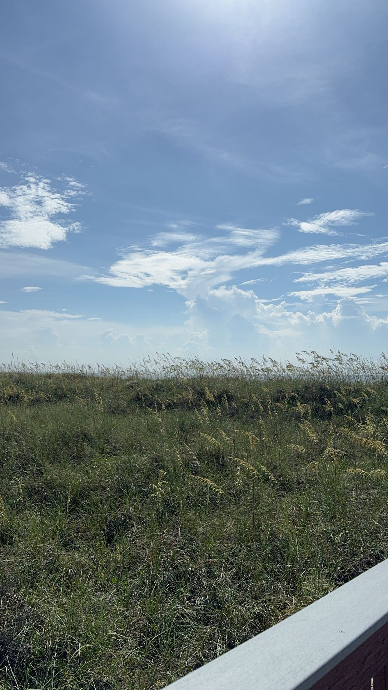 xxxtinacarmella snapchat image archive image