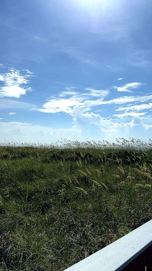 xxxtinacarmella image ~ Altpins