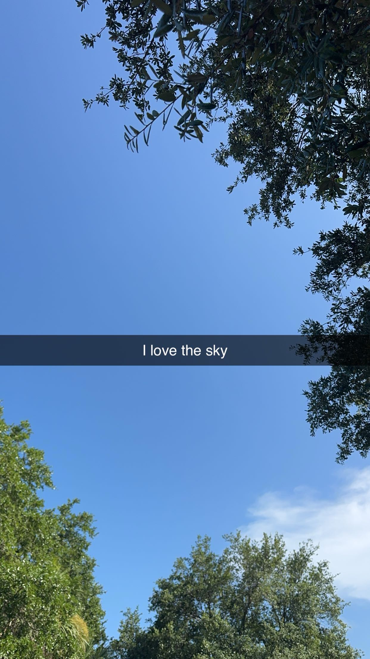 xxxtinacarmella snapchat image archive image