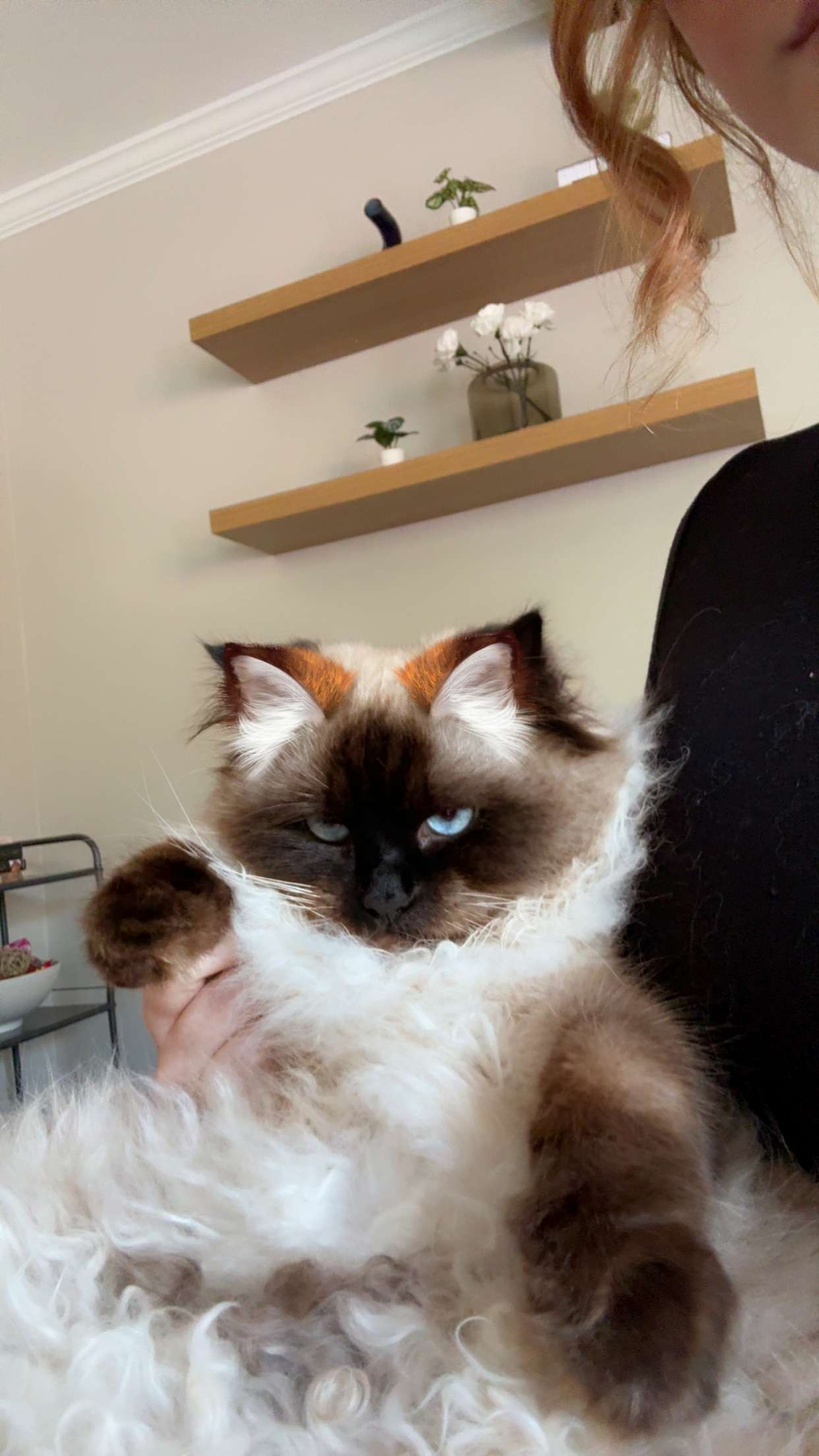 xxxtinacarmella snapchat image archive image