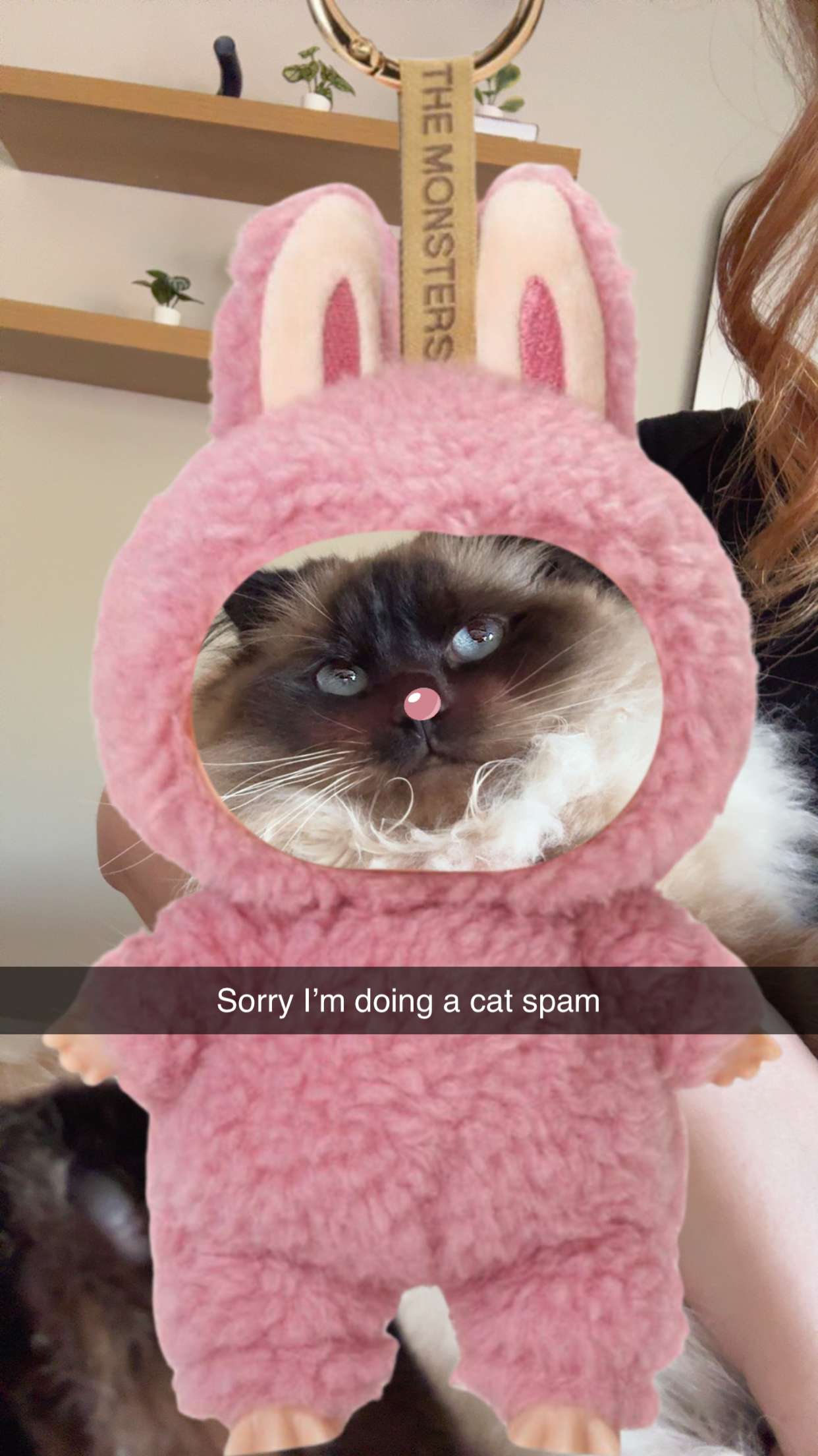 xxxtinacarmella snapchat image archive image