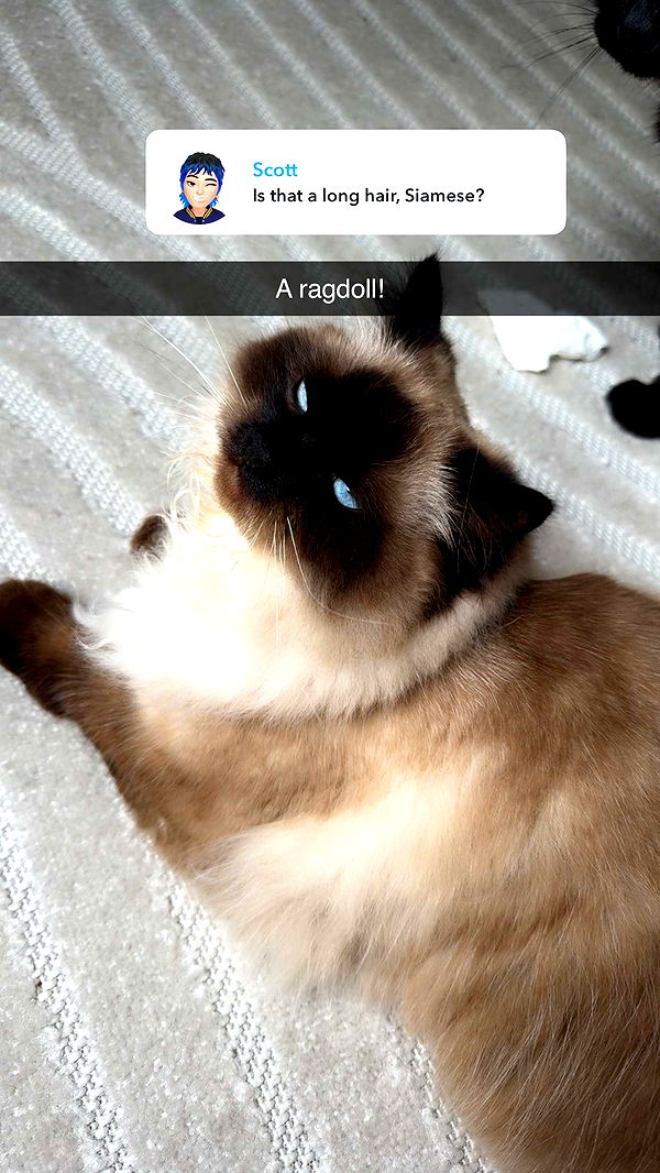 xxxtinacarmella image ~ Altpins