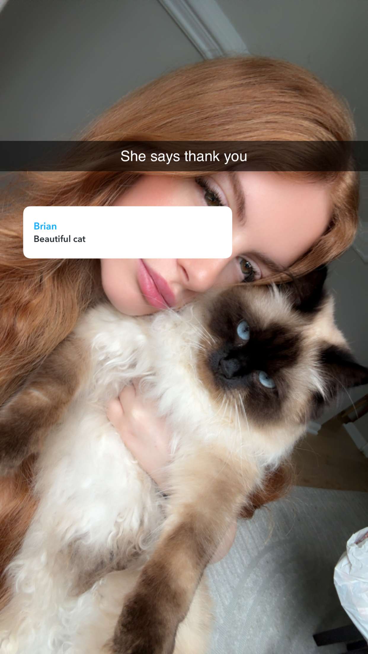 xxxtinacarmella snapchat image archive image