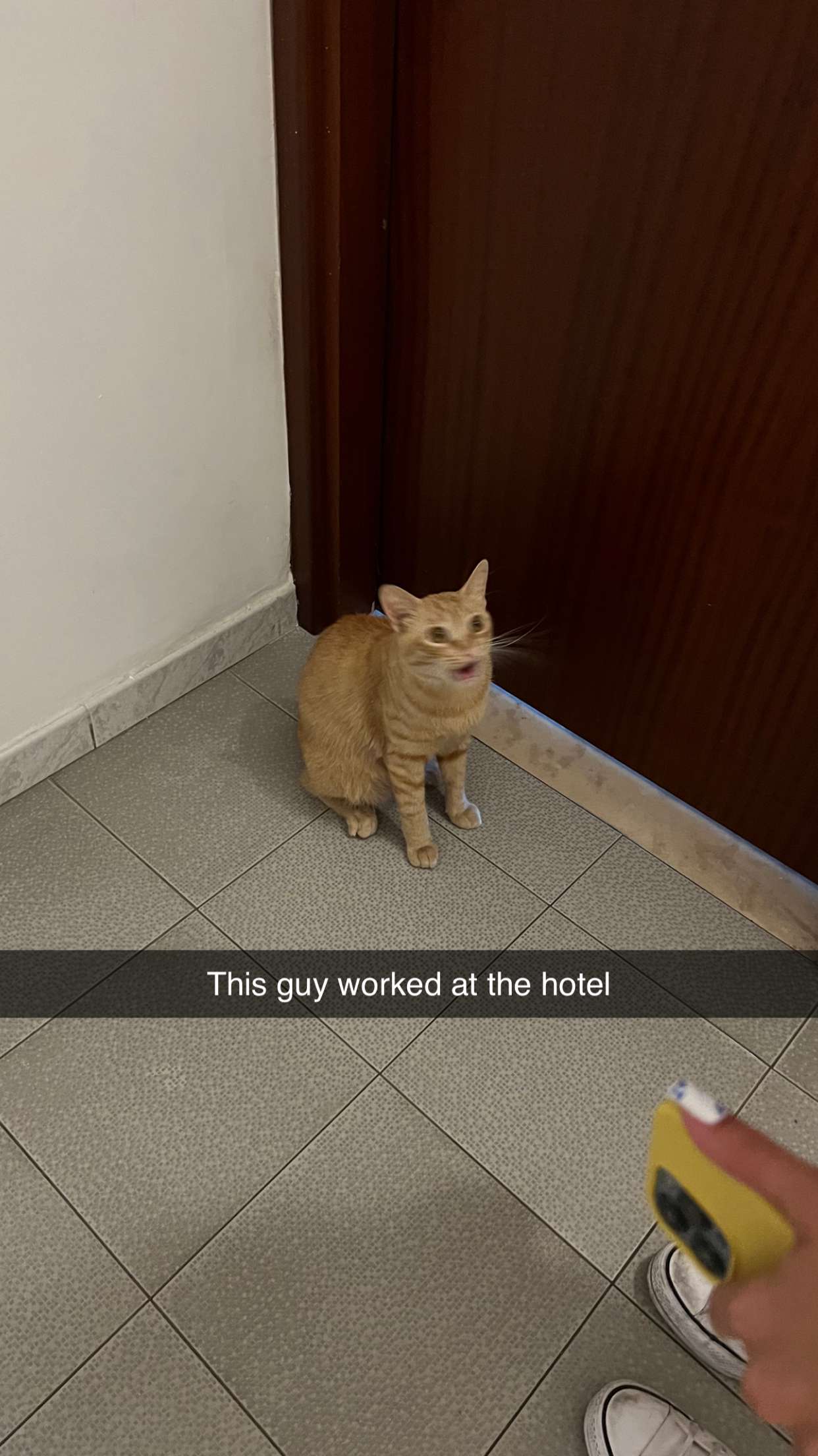 xxxtinacarmella snapchat image archive image