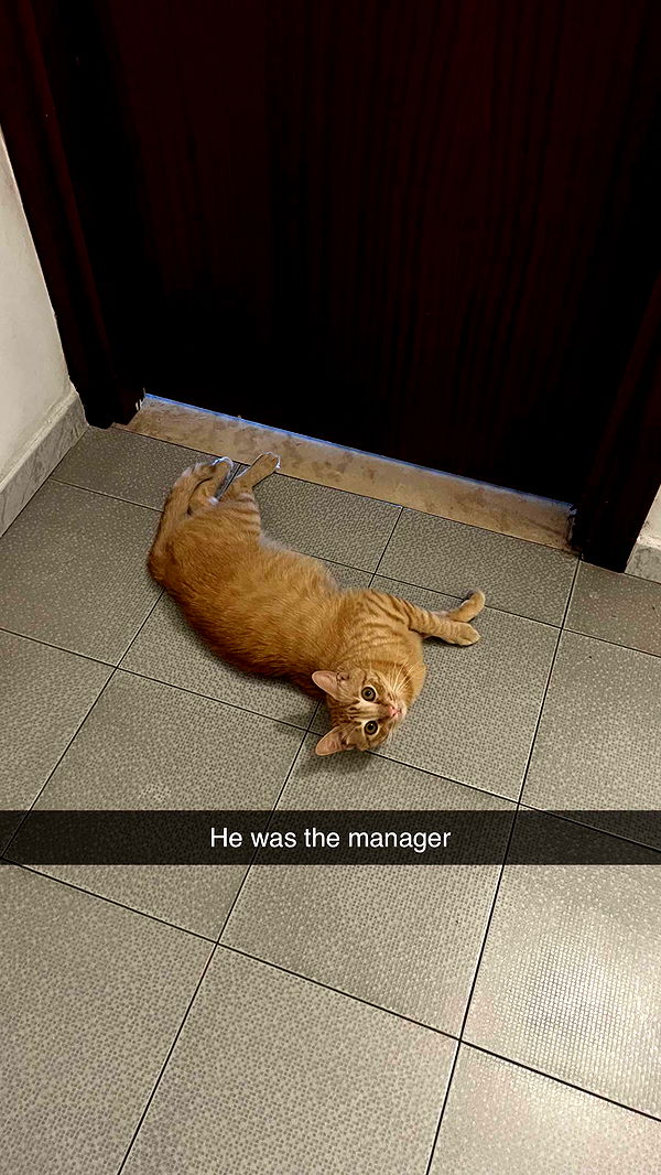 xxxtinacarmella image ~ Altpins