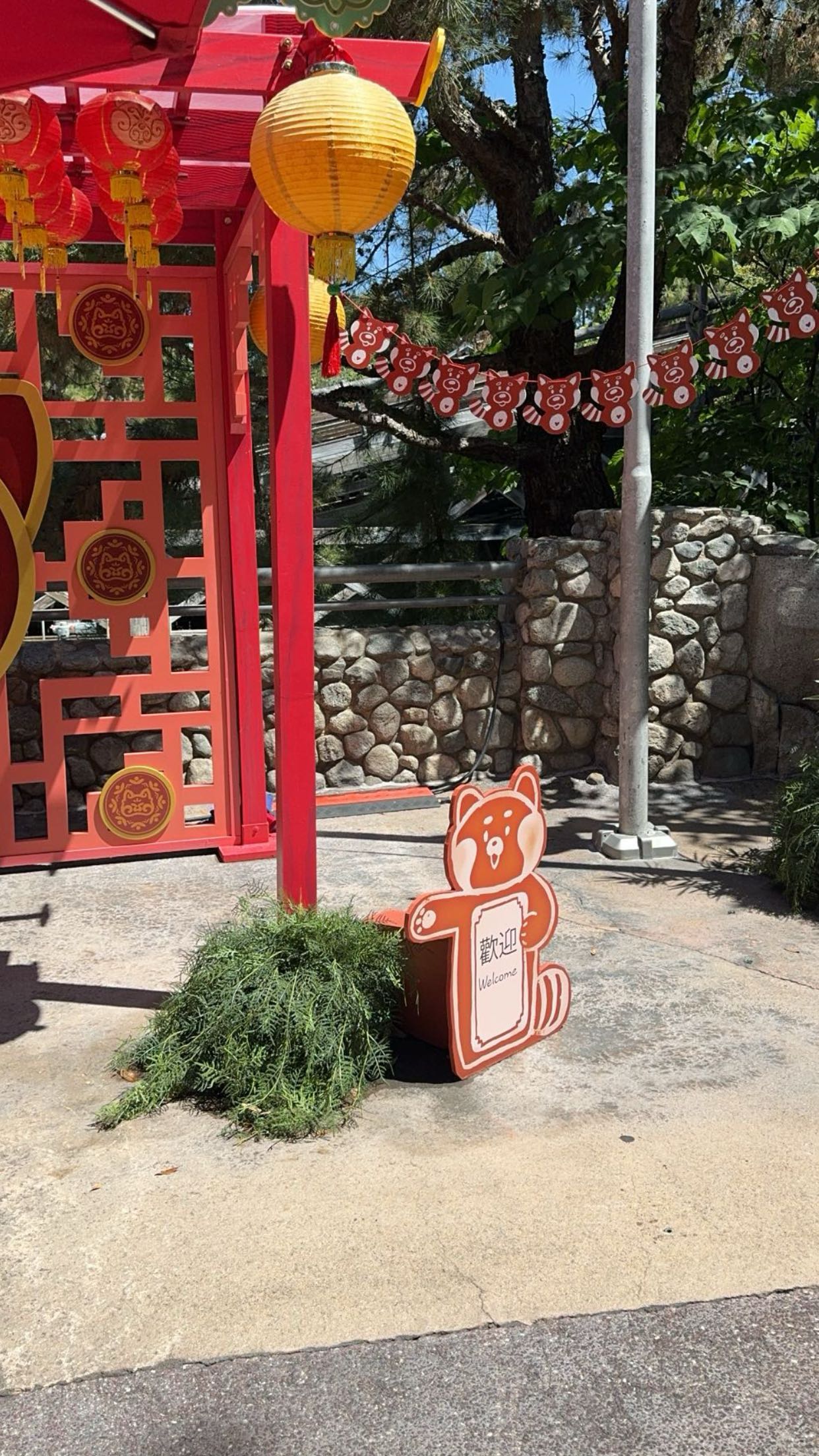 xxxtinacarmella snapchat image archive image