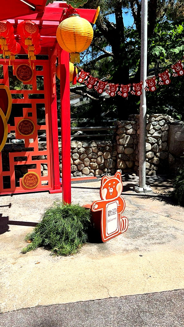 xxxtinacarmella image ~ Altpins