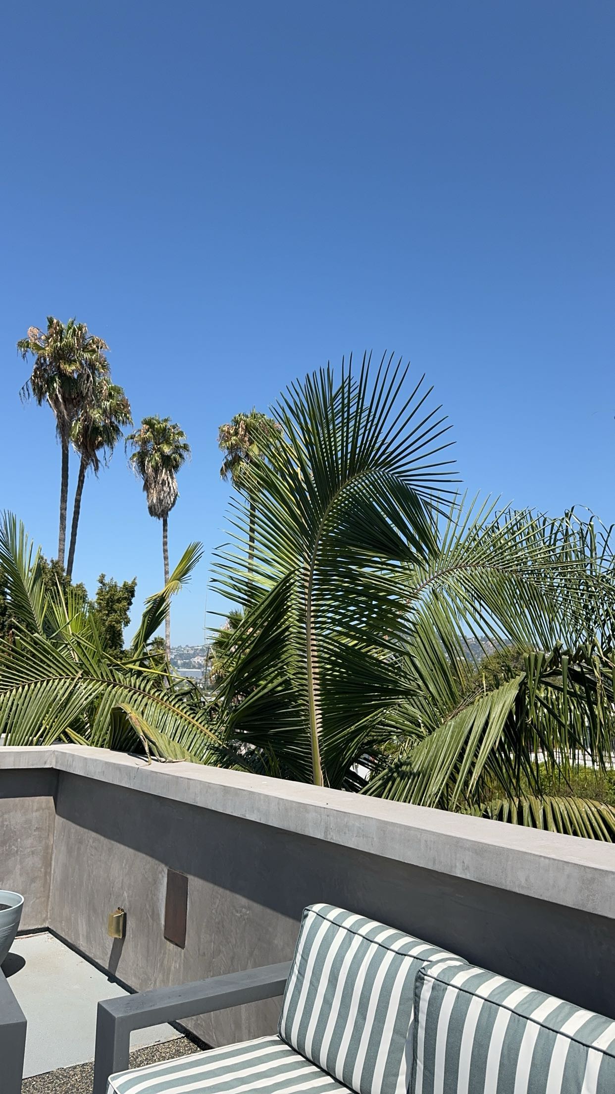 xxxtinacarmella snapchat image archive image