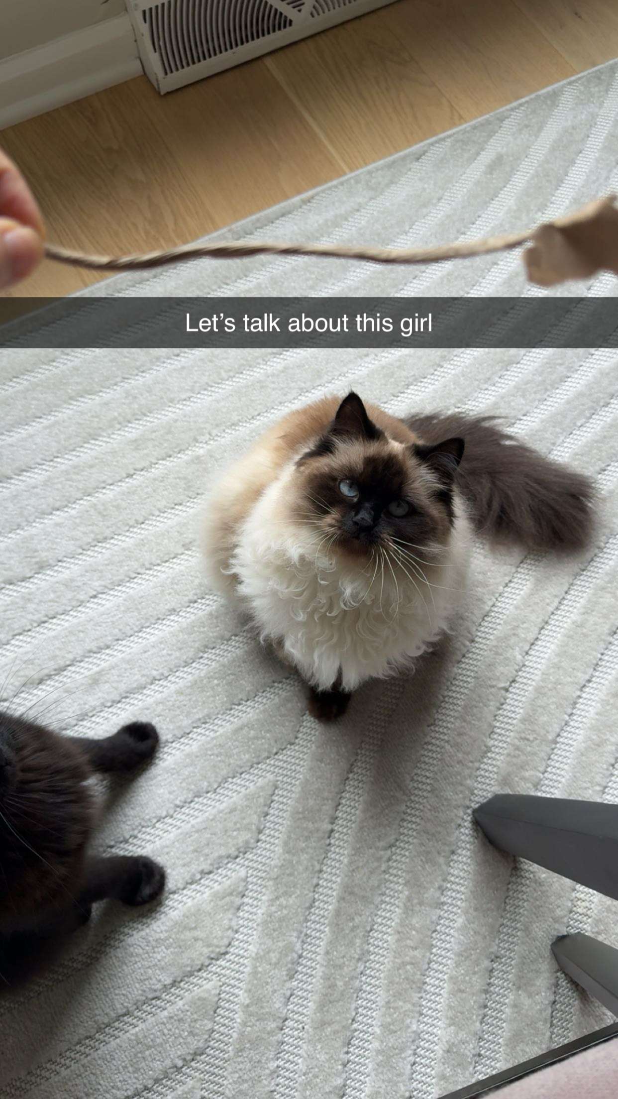 xxxtinacarmella snapchat image archive image