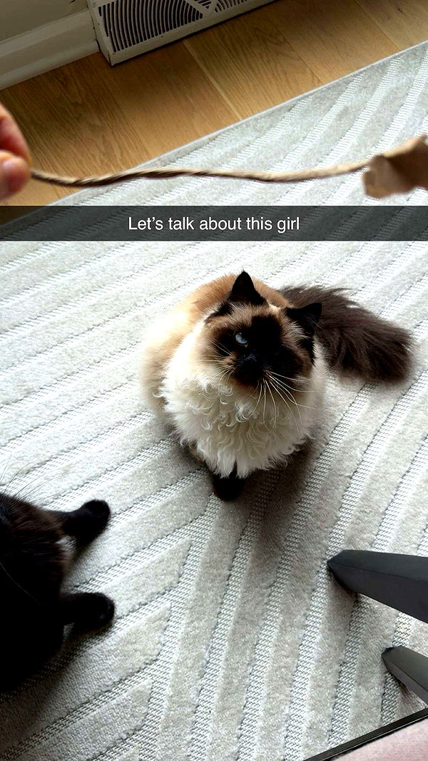 xxxtinacarmella image ~ Altpins